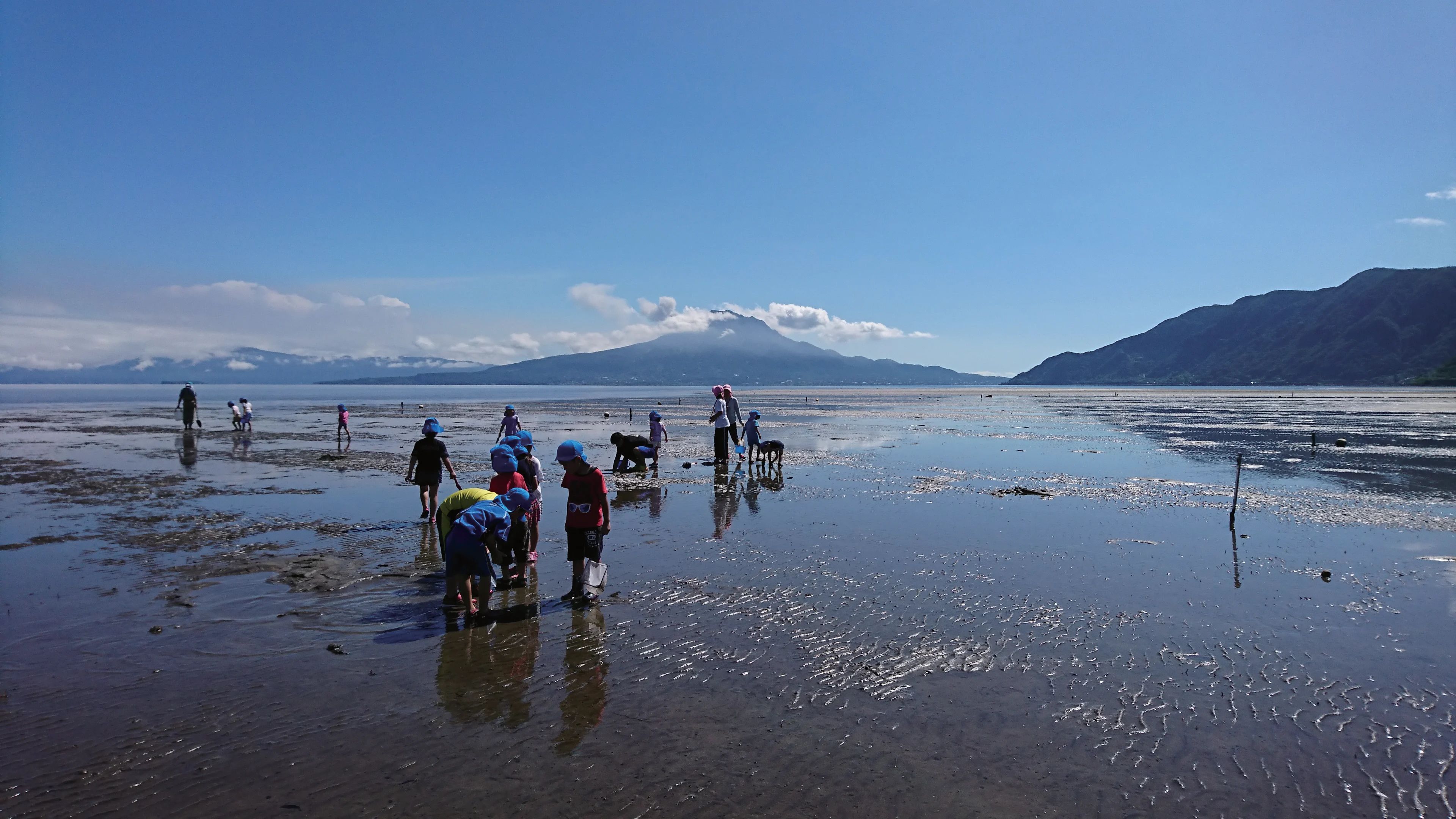 🏞️ 신코산교 키라라하마 자연관찰공원 이미지 5